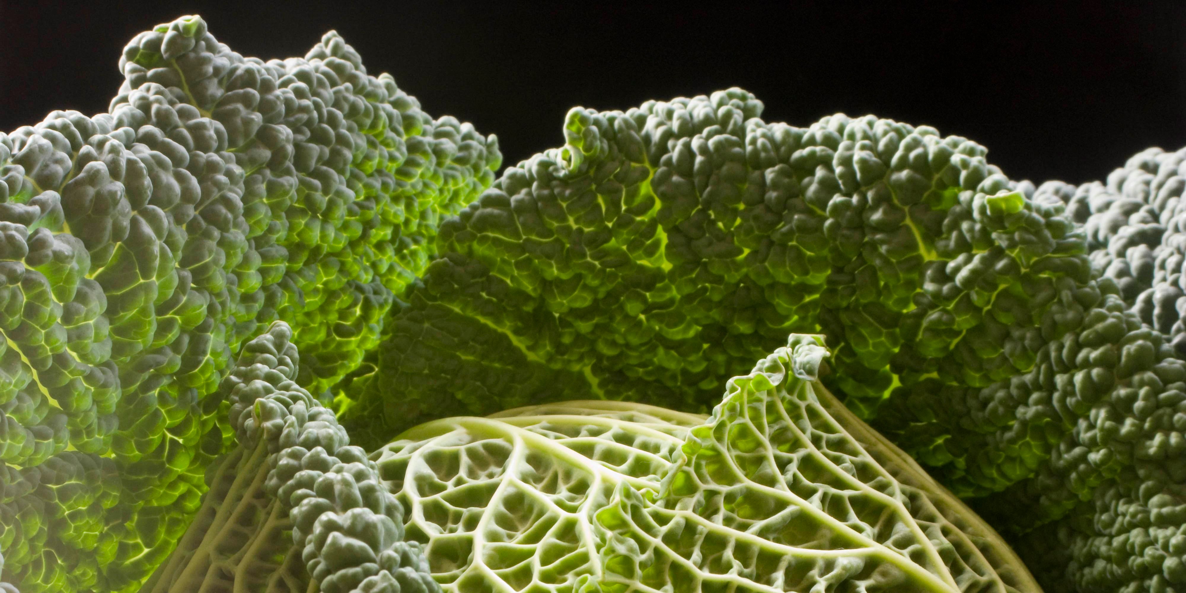 Health Benefits of Cabbage and Why It's Worth Eating More